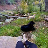 Review photo of Wheeler Gorge Campground by Frankie L., October 29, 2021