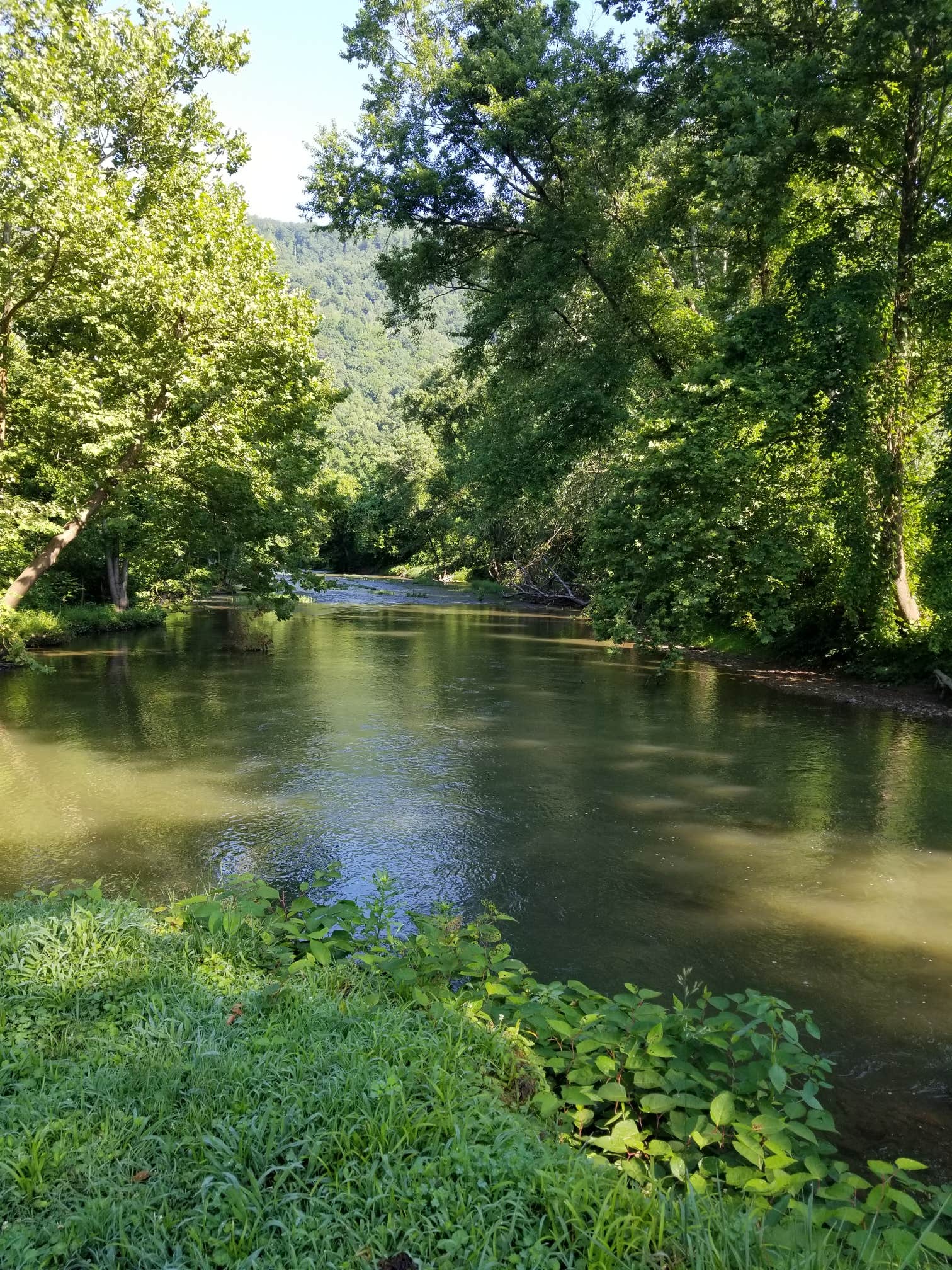 Camper-submitted photo at Jessie Lea RV Park and Campground near Whitesburg, KY