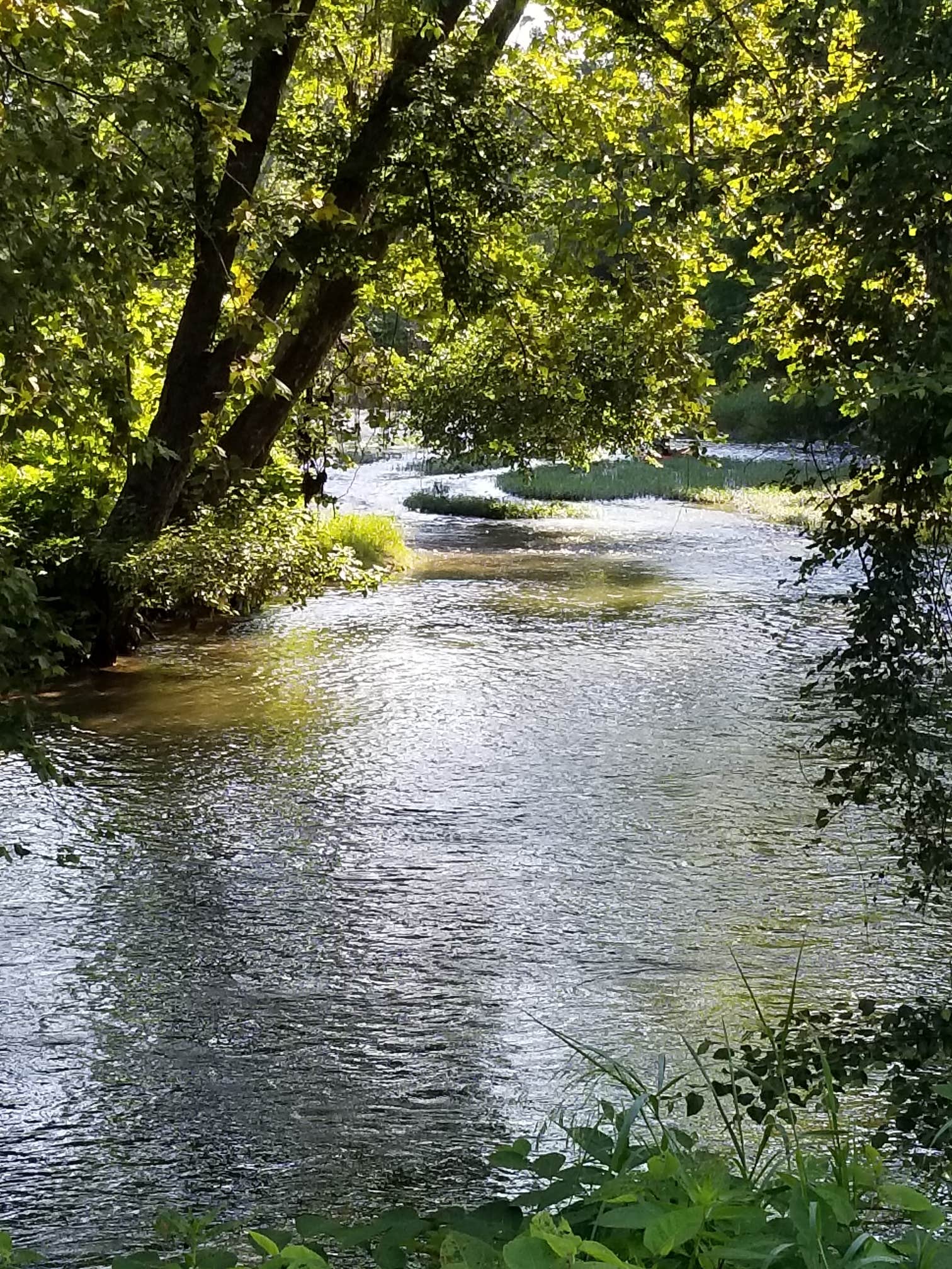 Camper-submitted photo at Jessie Lea RV Park and Campground near Whitesburg, KY