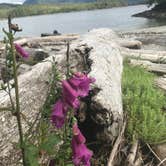 Review photo of Black Sands Marine State Park - Blank Island Campsite by Eric L., October 29, 2021