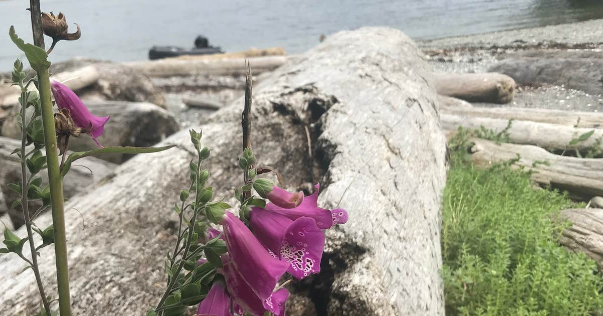 Black Sands Marine State Park - Blank Island Campsite