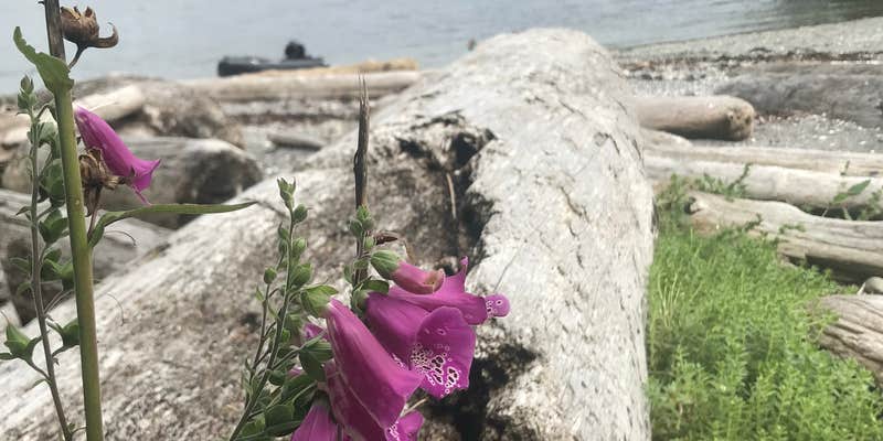 Camper submitted image from Black Sands Marine State Park - Blank Island Campsite