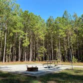 Review photo of Moccasin Branch Campground — Raven Rock State Park by Stuart K., October 29, 2021