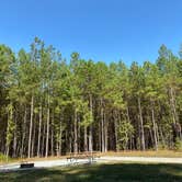 Review photo of Moccasin Branch Campground — Raven Rock State Park by Stuart K., October 29, 2021