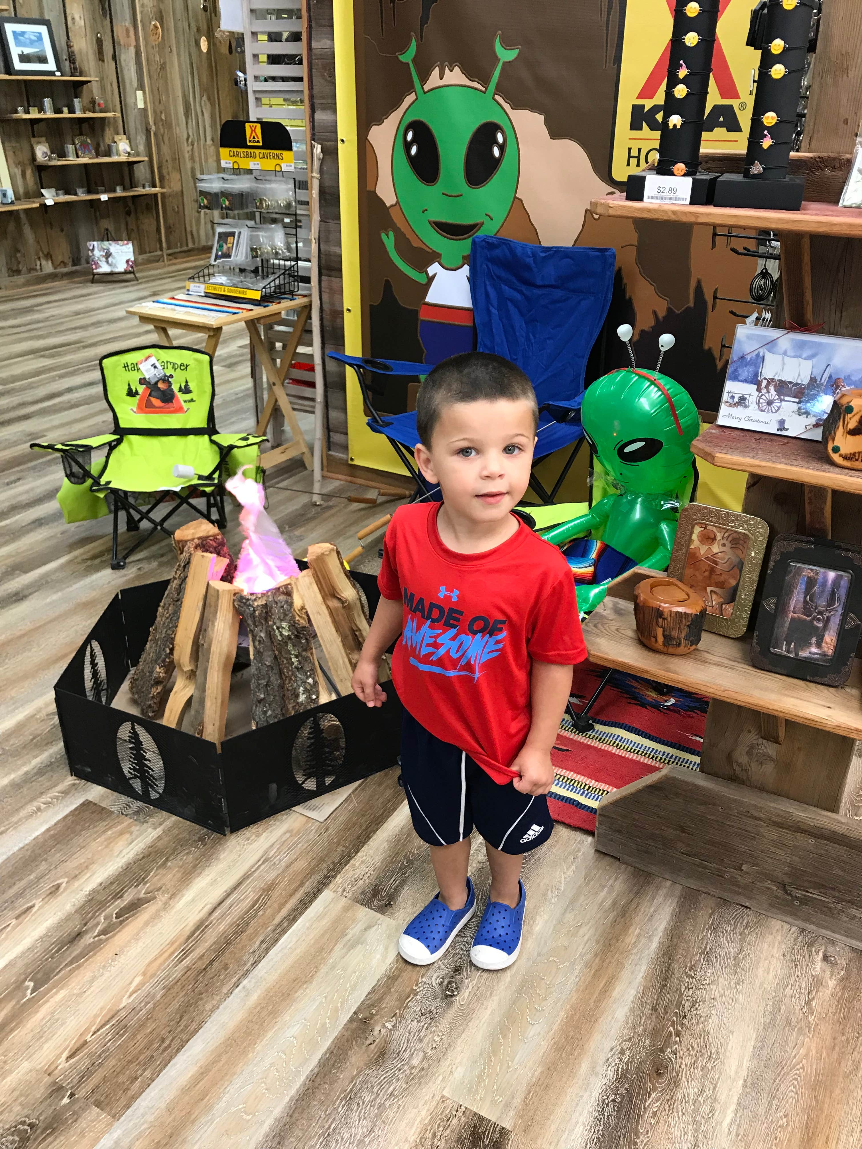 Camper-submitted photo at Carlsbad KOA near Artesia, NM