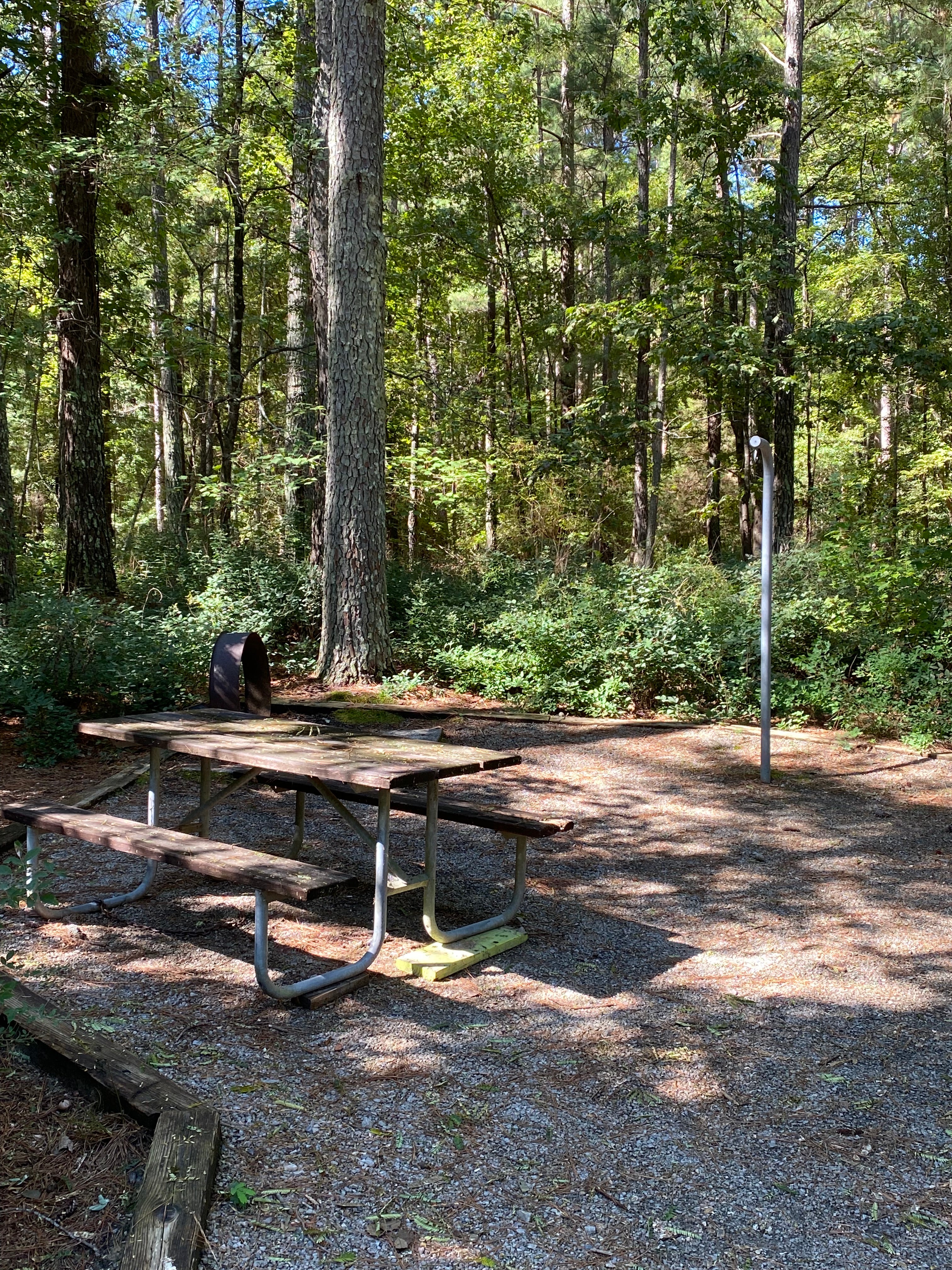 Camper submitted image from Parkers Creek Campground — Jordan Lake State Recreation Area - 2
