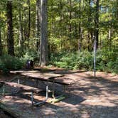 Review photo of Parkers Creek Campground — Jordan Lake State Recreation Area by Stuart K., October 29, 2021