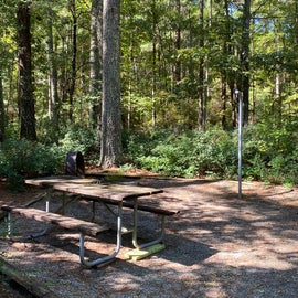 Most sites here have nice level platforms surrounded by wood rails w/ picnic table, fire ring, running water and garbage pole