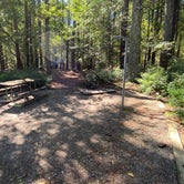 Review photo of Parkers Creek Campground — Jordan Lake State Recreation Area by Stuart K., October 29, 2021