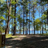 Review photo of Parkers Creek Campground — Jordan Lake State Recreation Area by Stuart K., October 29, 2021