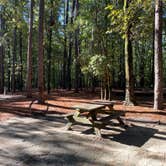 Review photo of Santee State Park--Lakeshore Campground by Stuart K., October 29, 2021