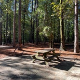 Review photo of Cypress View Campground — Santee State Park by Stuart K., October 29, 2021