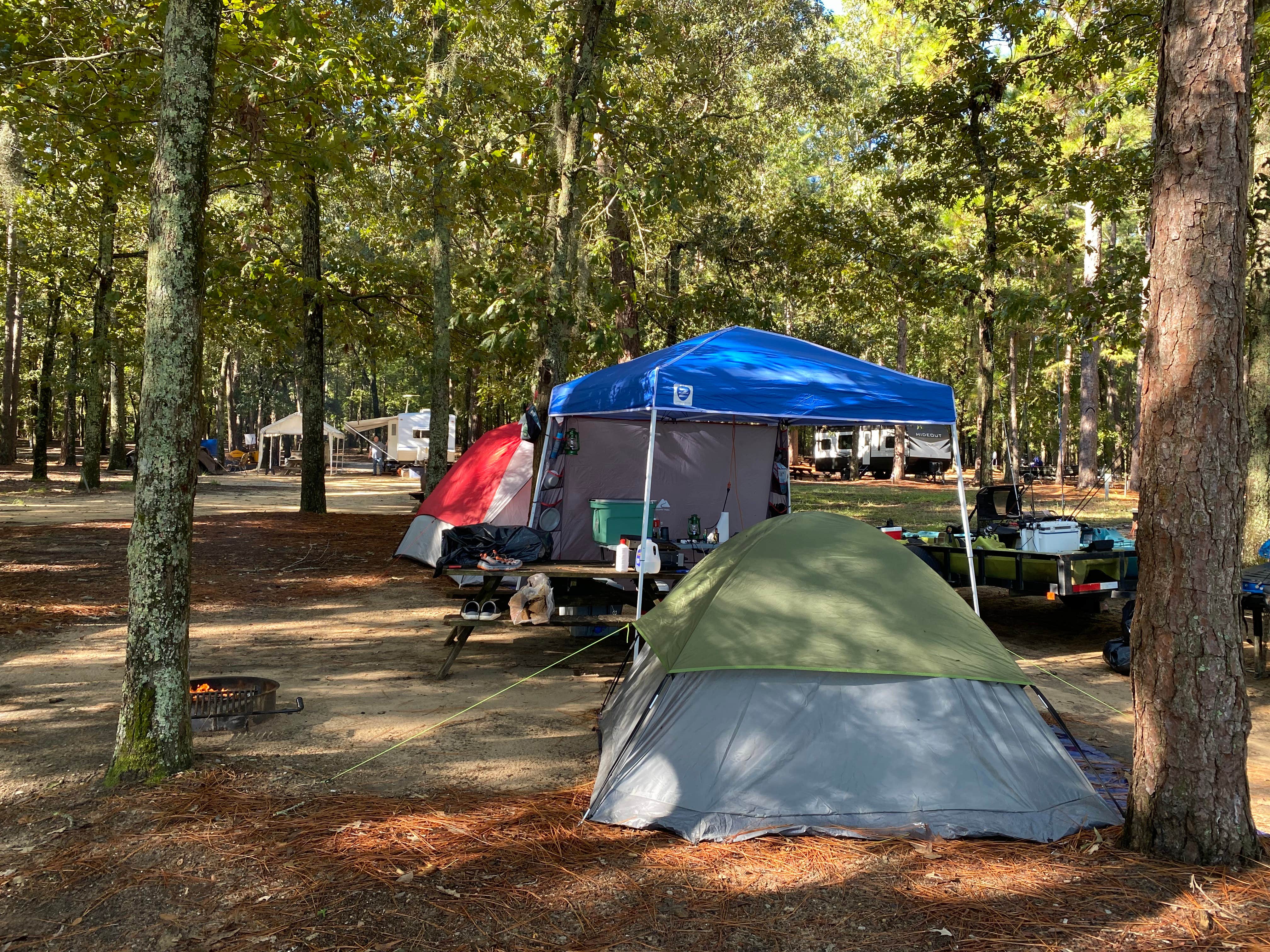 Stuart K.'s photo at Cypress View Campground — Santee State Park near Elloree, SC