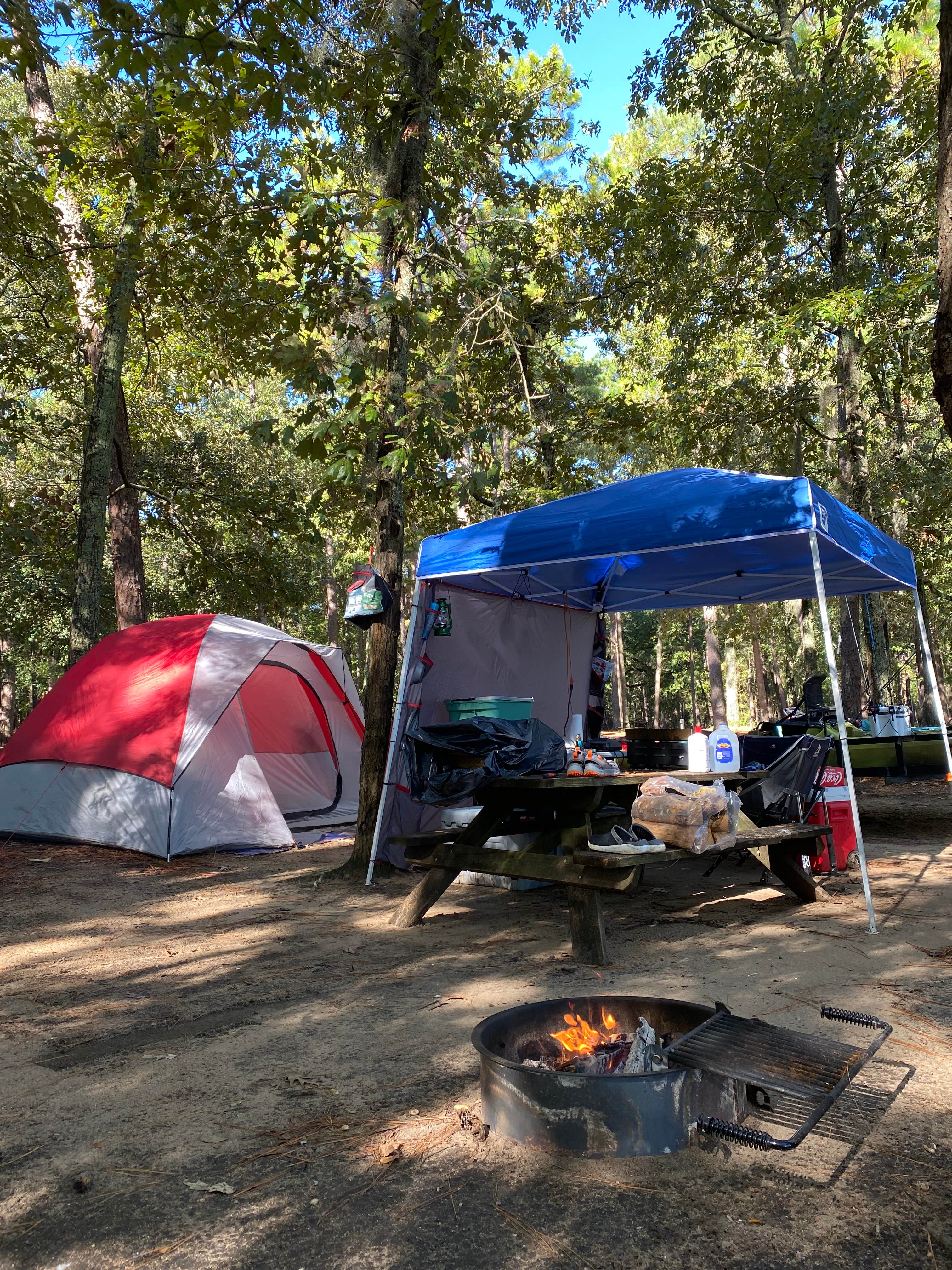 Stuart K.'s photo at Cypress View Campground — Santee State Park near Summerton, SC