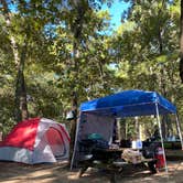 Review photo of Santee State Park--Lakeshore Campground by Stuart K., October 29, 2021