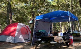 Stuart K.'s photo at Cypress View Campground — Santee State Park near Summerton, SC