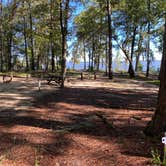 Review photo of Santee State Park--Lakeshore Campground by Stuart K., October 29, 2021