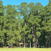 Review photo of Santee State Park--Lakeshore Campground by Stuart K., October 29, 2021