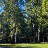 Review photo of Santee State Park--Lakeshore Campground by Stuart K., October 29, 2021