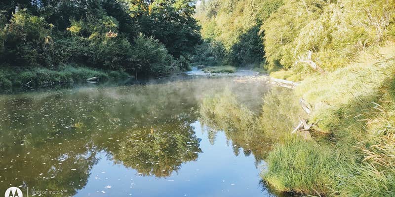 Camper submitted image from Alsea River Getaway