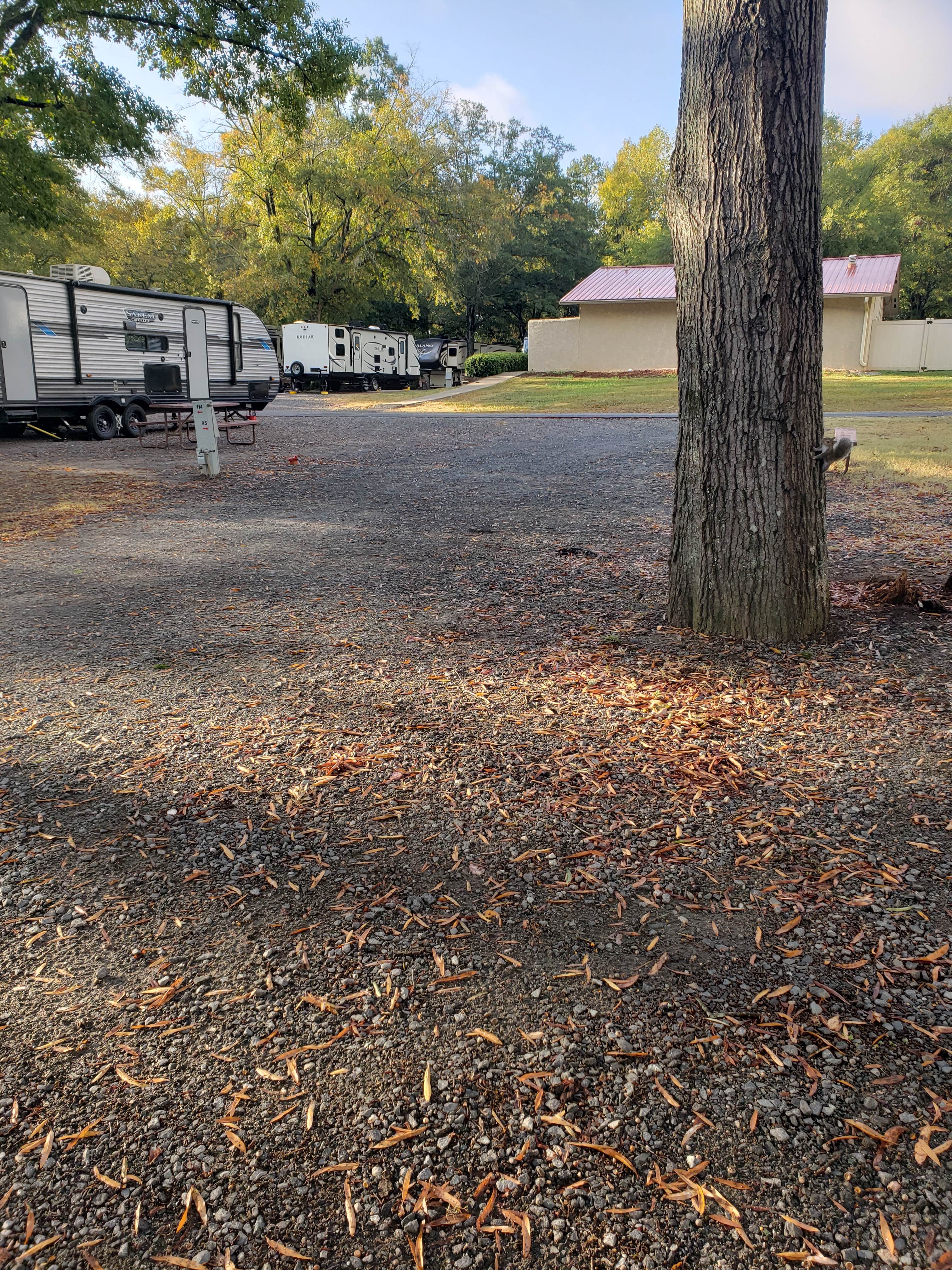 Camper-submitted photo at Charlotte-Fort Mill KOA near Indian Trail, NC