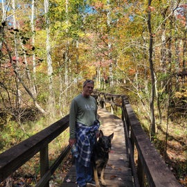 Bridge to Lake trail