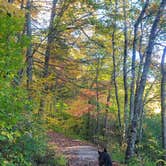 Review photo of Chilhowee Recreation Area by Tracy J., October 29, 2021