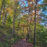 Review photo of Chilhowee Recreation Area by Tracy J., October 29, 2021