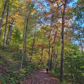 Review photo of Chilhowee Recreation Area by Tracy J., October 29, 2021