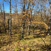 Review photo of Lake Carlos State Park Campground by Joe S., October 29, 2021