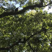 Review photo of Weatherford-Fort Worth West KOA by Paula  M., July 6, 2018