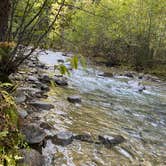 Review photo of Lincoln Creek Dispersed Campground by Courtney S., October 29, 2021