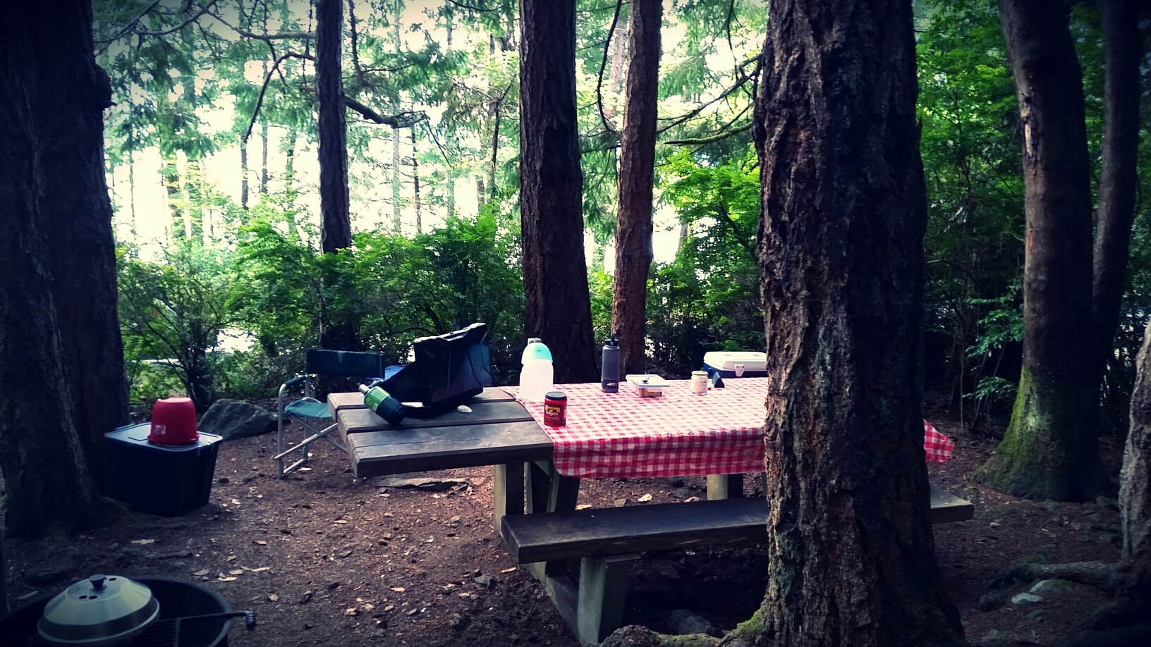 Camper submitted image from Seal Rock Campground - 2