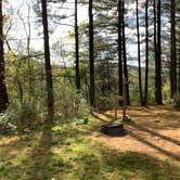 Review photo of Rocky Gap State Park Campground by Laure D., October 29, 2021