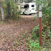Review photo of Rocky Gap State Park Campground by Laure D., October 29, 2021