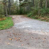 Review photo of Rocky Gap State Park Campground by Laure D., October 29, 2021