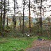 Review photo of Rocky Gap State Park Campground by Laure D., October 29, 2021