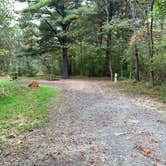 Review photo of Rocky Gap State Park Campground by Laure D., October 29, 2021