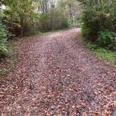 Review photo of Rocky Gap State Park Campground by Laure D., October 29, 2021