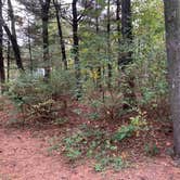 Review photo of Rocky Gap State Park Campground by Laure D., October 29, 2021