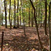 Review photo of Rocky Gap State Park Campground by Laure D., October 29, 2021