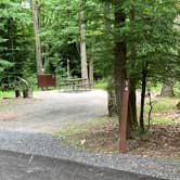 Review photo of Deep Creek Lake State Park Campground by Laure D., October 29, 2021