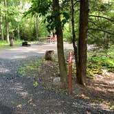 Review photo of Deep Creek Lake State Park Campground by Laure D., October 29, 2021