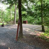 Review photo of Deep Creek Lake State Park Campground by Laure D., October 29, 2021