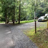 Review photo of Deep Creek Lake State Park Campground by Laure D., October 29, 2021