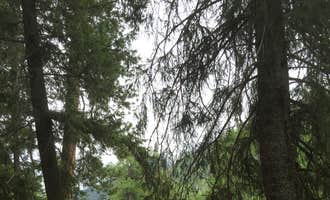 Camping near Lakeview Campground — Lake Chelan National Recreation Area: Poplar Flat Campground, Stehekin, Washington