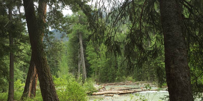 Camper submitted image from Poplar Flat Campground