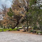 Review photo of El Morro National Monument by Hayley K., October 29, 2021