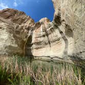 Review photo of El Morro National Monument by Hayley K., October 29, 2021