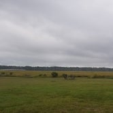 Review photo of Jellystone Park™ Chincoteague Island by Tori K., October 29, 2021
